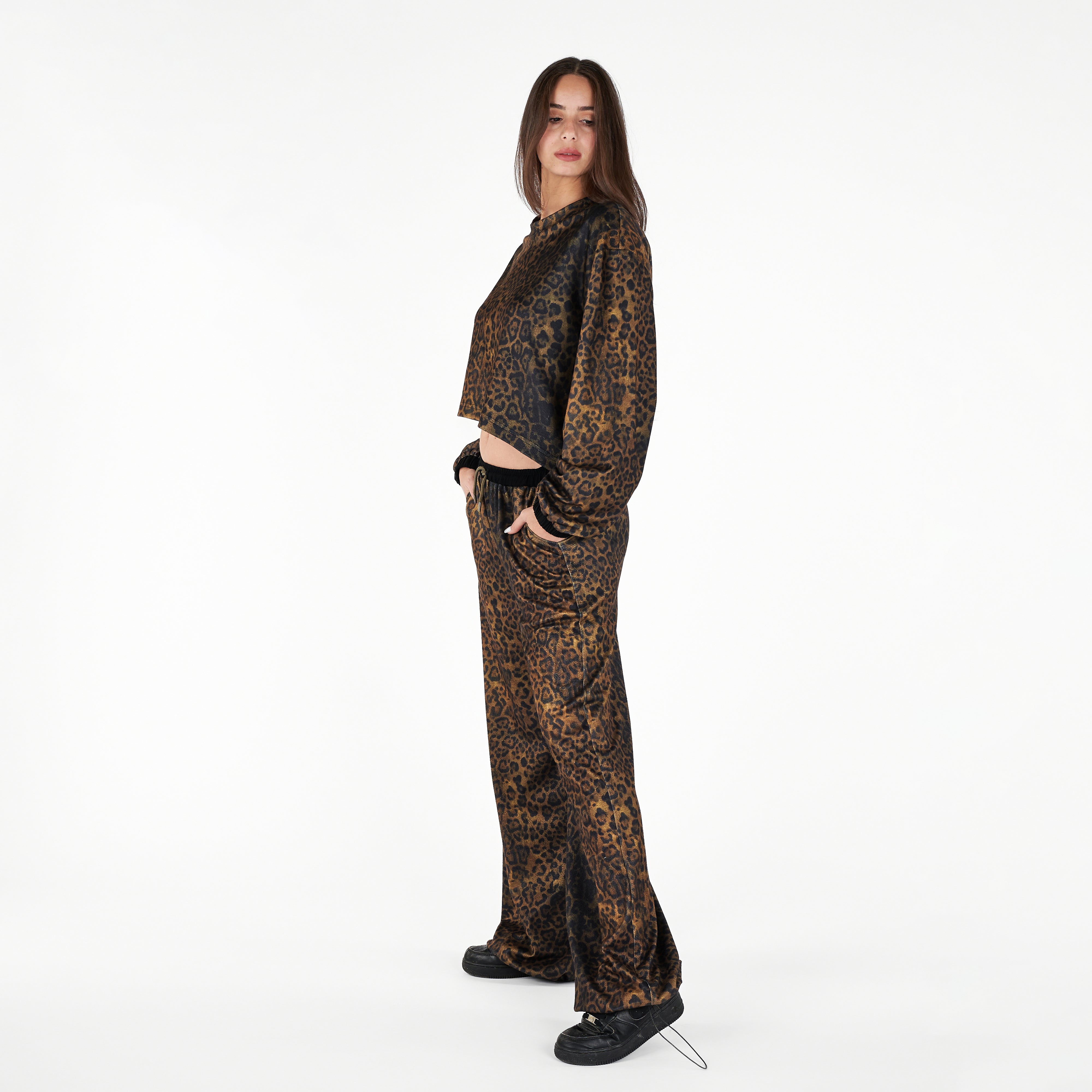 Crew Neck Long Sleeve Leopard Print Blouse